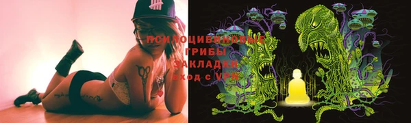 прущие грибы Белокуриха