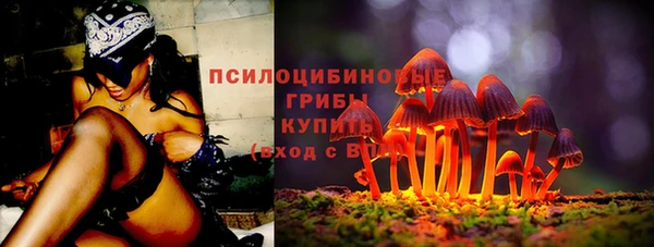 ПСИЛОЦИБИНОВЫЕ ГРИБЫ Арсеньев